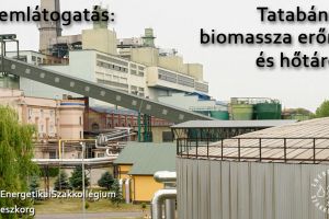 tatabanya.jpg
